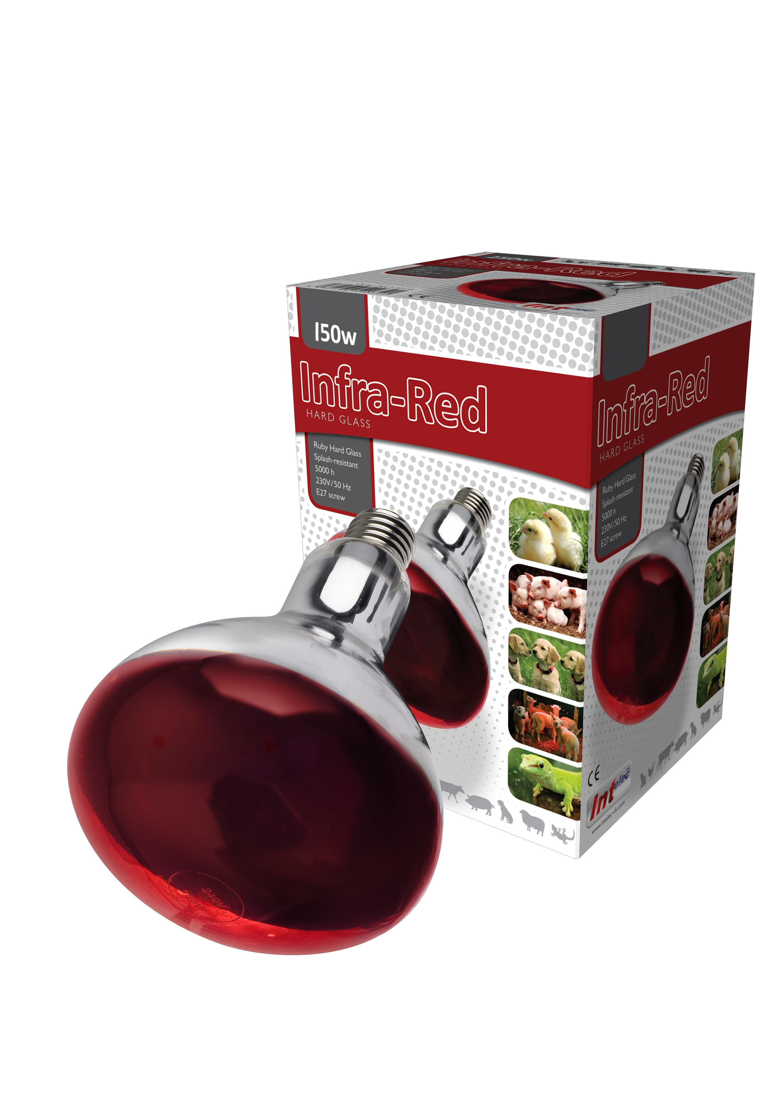 Ruby Red  Bulb 150 Watt SINGLE