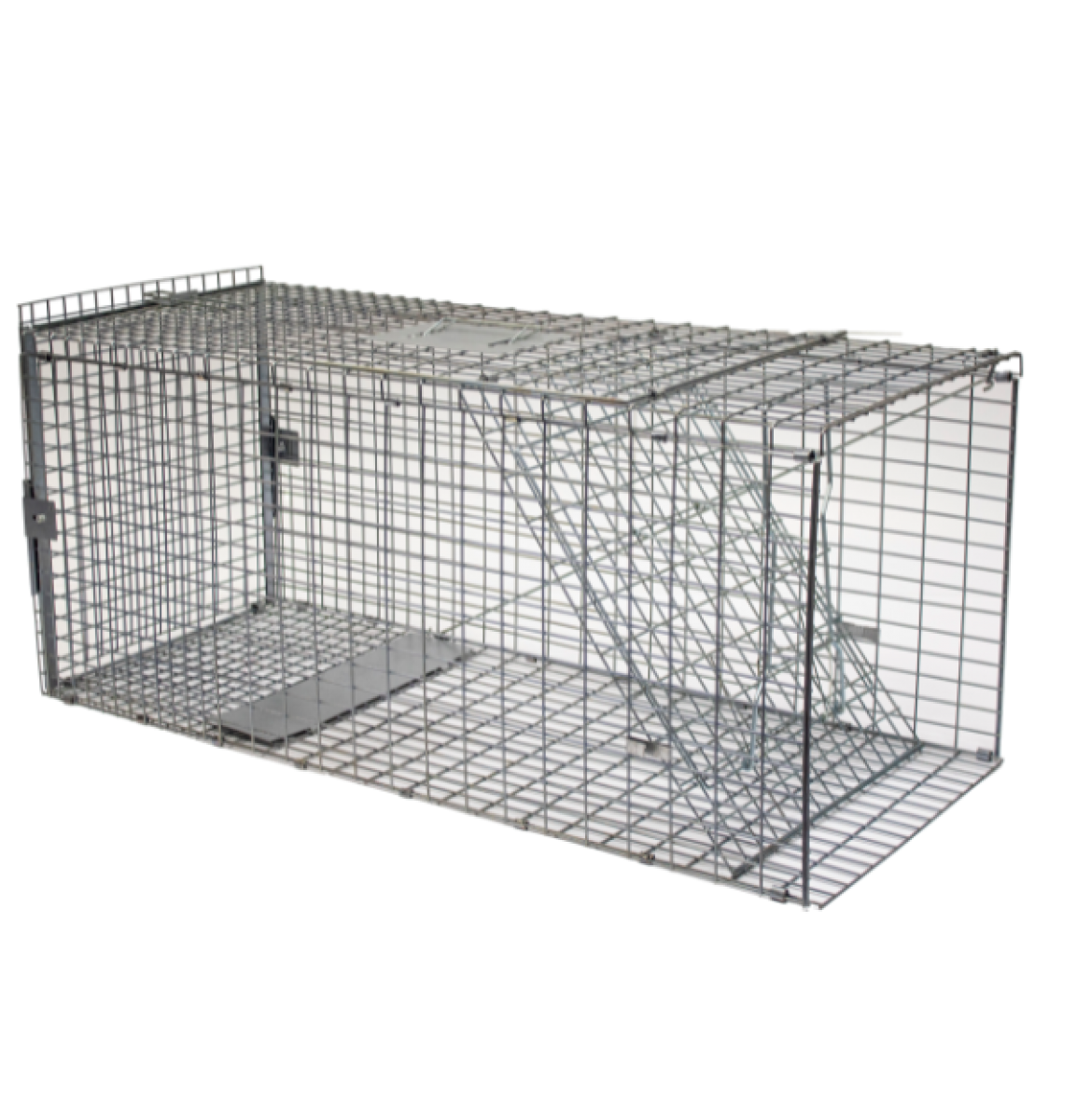 Racan Fox Cage Trap - Flat Packed