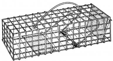 Mink/Squirrel Trap