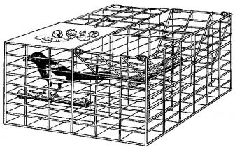 CHECK PRICE (KIT FORM) Larsen Magpie Cage Trap, Twin Catch