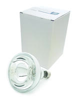 Clear Interlec Bulb 250 Watt SINGLE